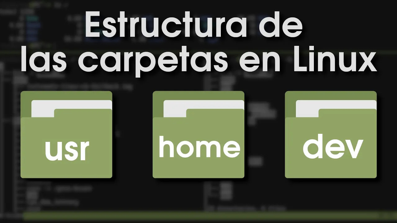 Estructura de carpetas en Linux: Explicación detallada