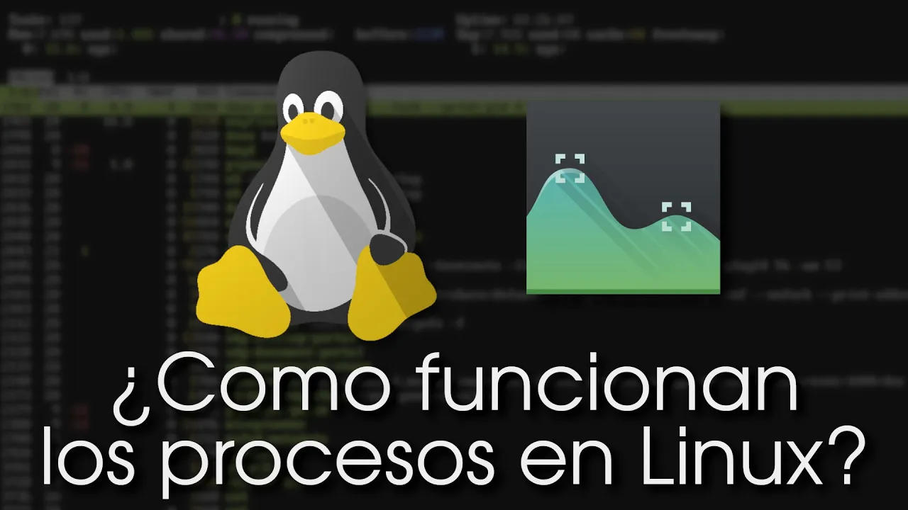 Procesos y señales en Linux / Unix-like explicados